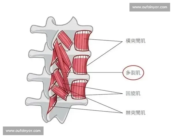 现代体育训练方法对运动员身体机能与竞技表现的综合影响研究