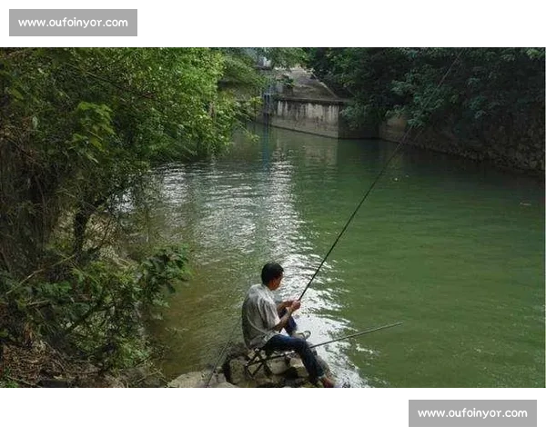 江西钓鱼比赛盛况展现钓技与自然的完美结合吸引众多钓友参与和观赛 江西钓鱼比赛盛况展现钓技与自然的完美结合吸引众多钓友参与和观赛